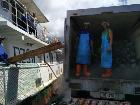 STF Tuna Supply Chain '23 1