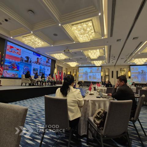 Pink STF ASEAN 6