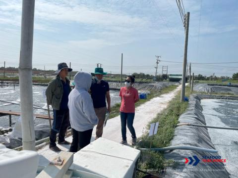 STF in Vietnam on the Ground